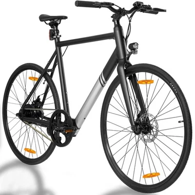 TAB 700C Elektrofahrrad E-Bike City Road Pedelec 250W 36V Lg Akku Herren Damen EBike