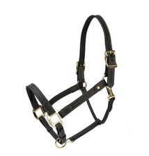 Shires Velociti Lusso Girona Leather Halter &mdash; Padded European Leather