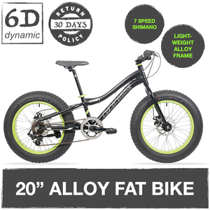 avalanche fat bike