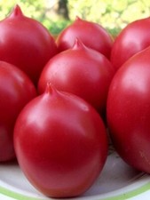 Seeds Tomato De Barao Royal Tsarsky Vegatable Organic Heirloom NON-GMO