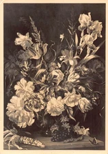 Flowers Art by Herbert Kampf Blumenstueck Carnations 1945 field postcard B725