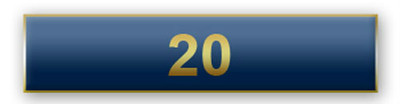 New ''20 Years of Service'' Blue Citation Bar Lapel Pin