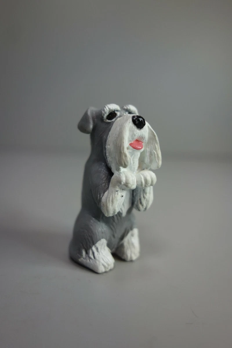 Pocket schnauzer sale