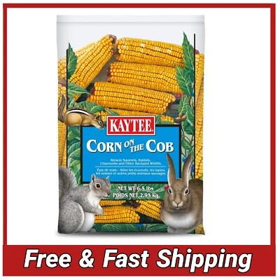 GENERIC Kaytee Corn On The Cob Food For Wild Squirrels, Rabbits, Chipmunks (6.5 Pound)