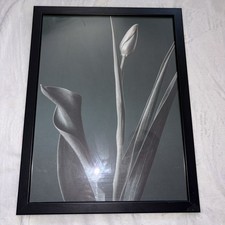Desenio Dark Green Botanical Flower Print
