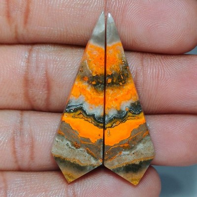 30,90 Cts Natürlicher Bumble Bee Jasper Fancy Paar Cab Lose Edelstein 13x43x4 mm
