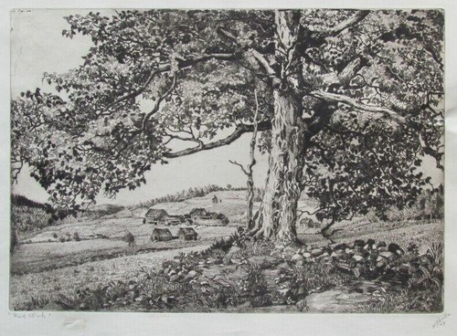 WALTER R. LOCKE (1883-1949) Landscape Etching Early 1900's "Red Oak " - Picture 2 of 5
