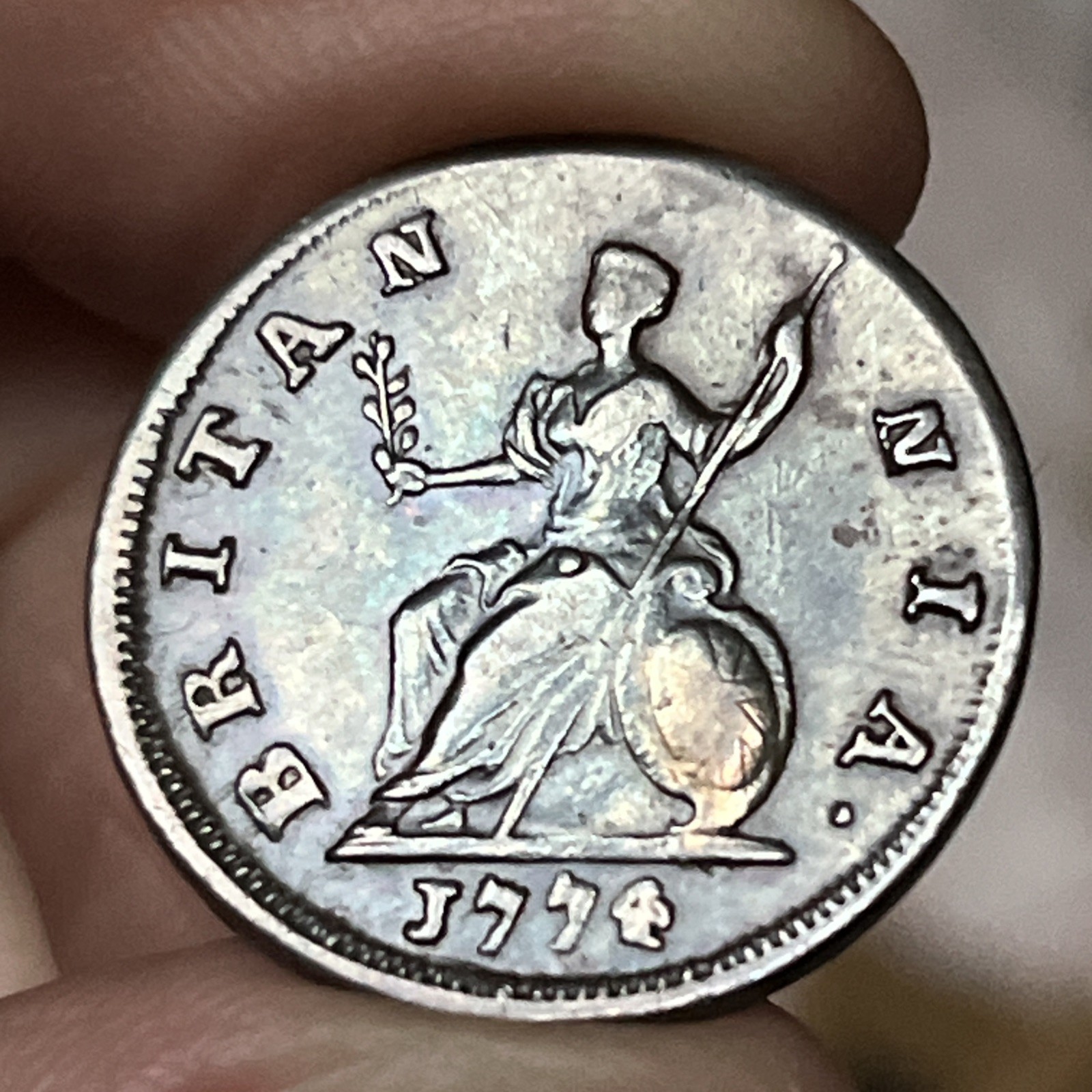 Picture 5 of 5