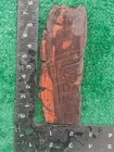 rough slab Petrofied Wood 153g. 6/16- Thick Lapidary Cabbing #FR-1 — photo 5