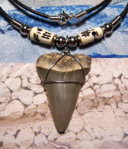 Mako Shark Jaw | eBay