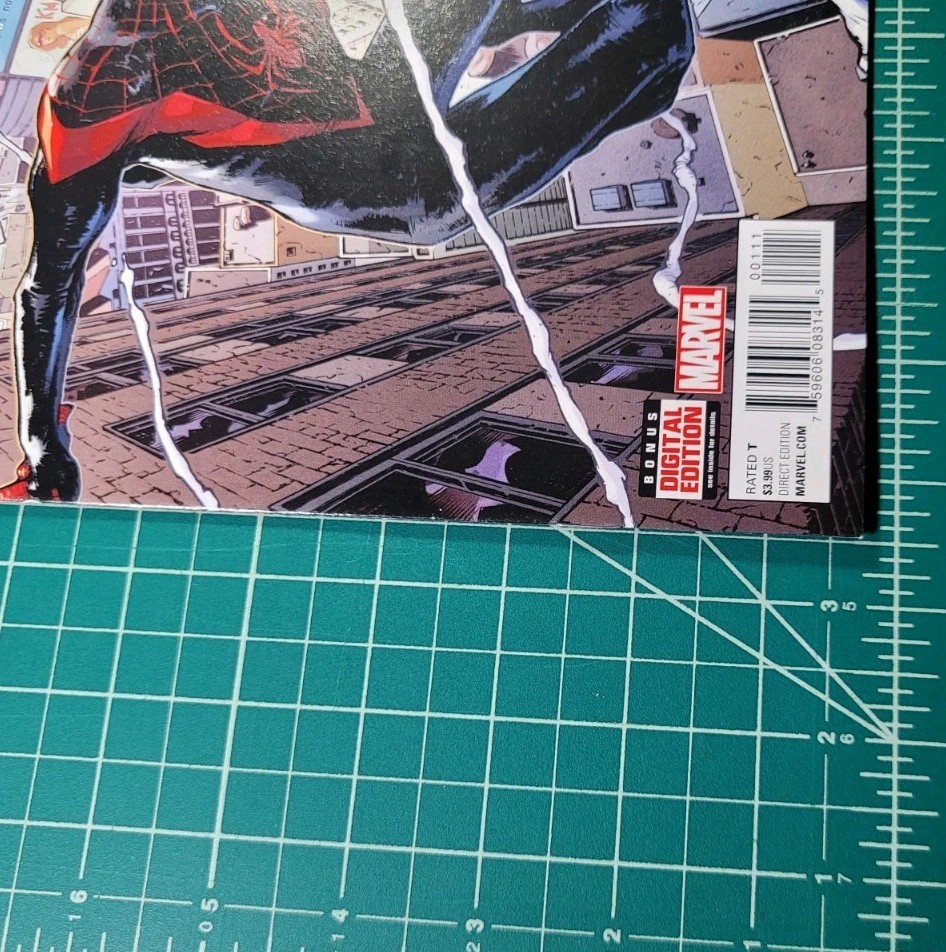 Picture 5 of 8