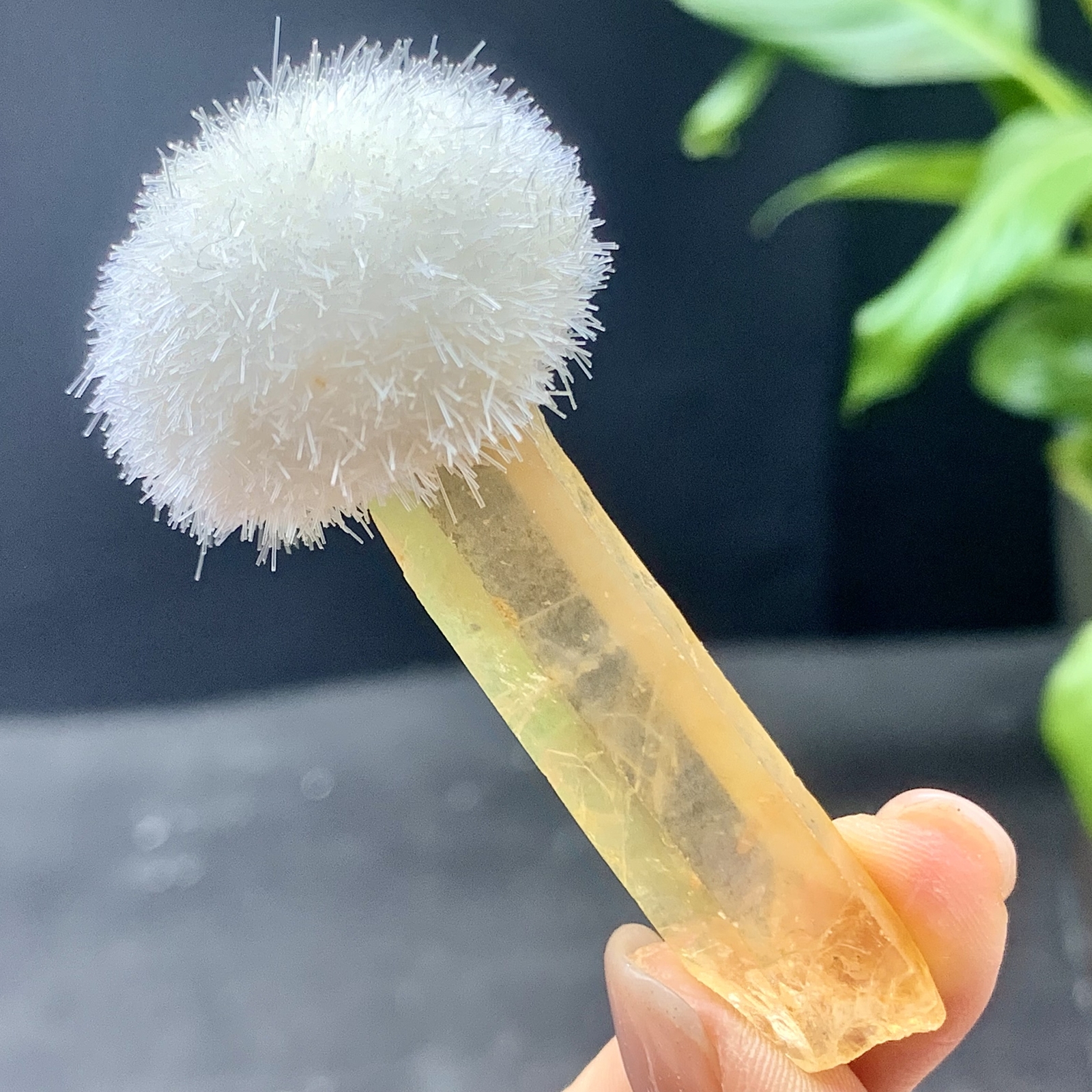 20G Natural Citrine Calcite Crystal Quartz Energy Cluster Healing Mineral Stone