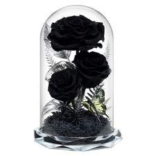 Forever Flowers in Glass Dome - Preserved Roses, for Her Women Valentine's Da...