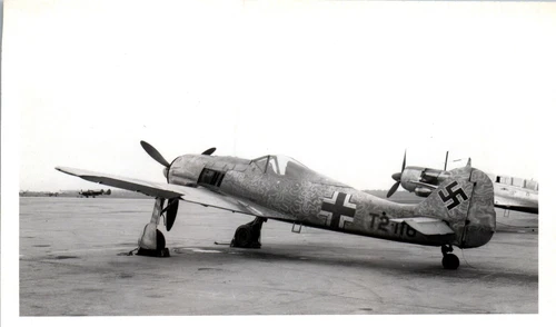 Focke-Wulf FW-190 German Plane Reprint WW2 Photo (3 x 5) No. 1