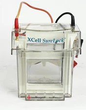 Invitrogen XCell-SureLock Mini Cell Electrophoresis
