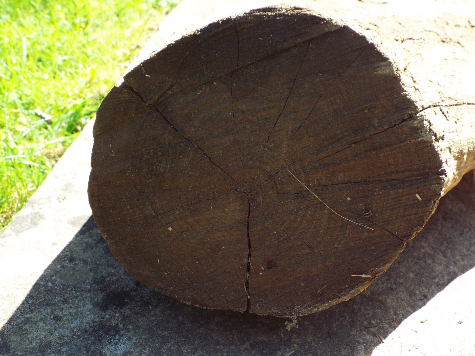 wooden garden ornaments used log solid oak Stunning Motivation