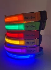 LED Dog Collar Rechargeable Battery
