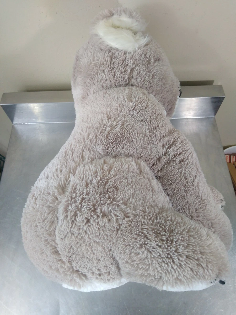 Hugfun koala online