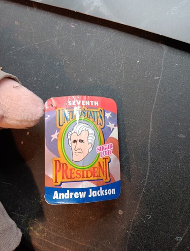 Präsident Andrew Jackson Zuckerhut Plüsch USA Amerika mit Etikett 2007 Coinstar - Bild 3 von 5
