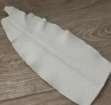 Genuine Beaver Tail Crust Hide Skin Leather exotic fish shark Tanned Tail 117