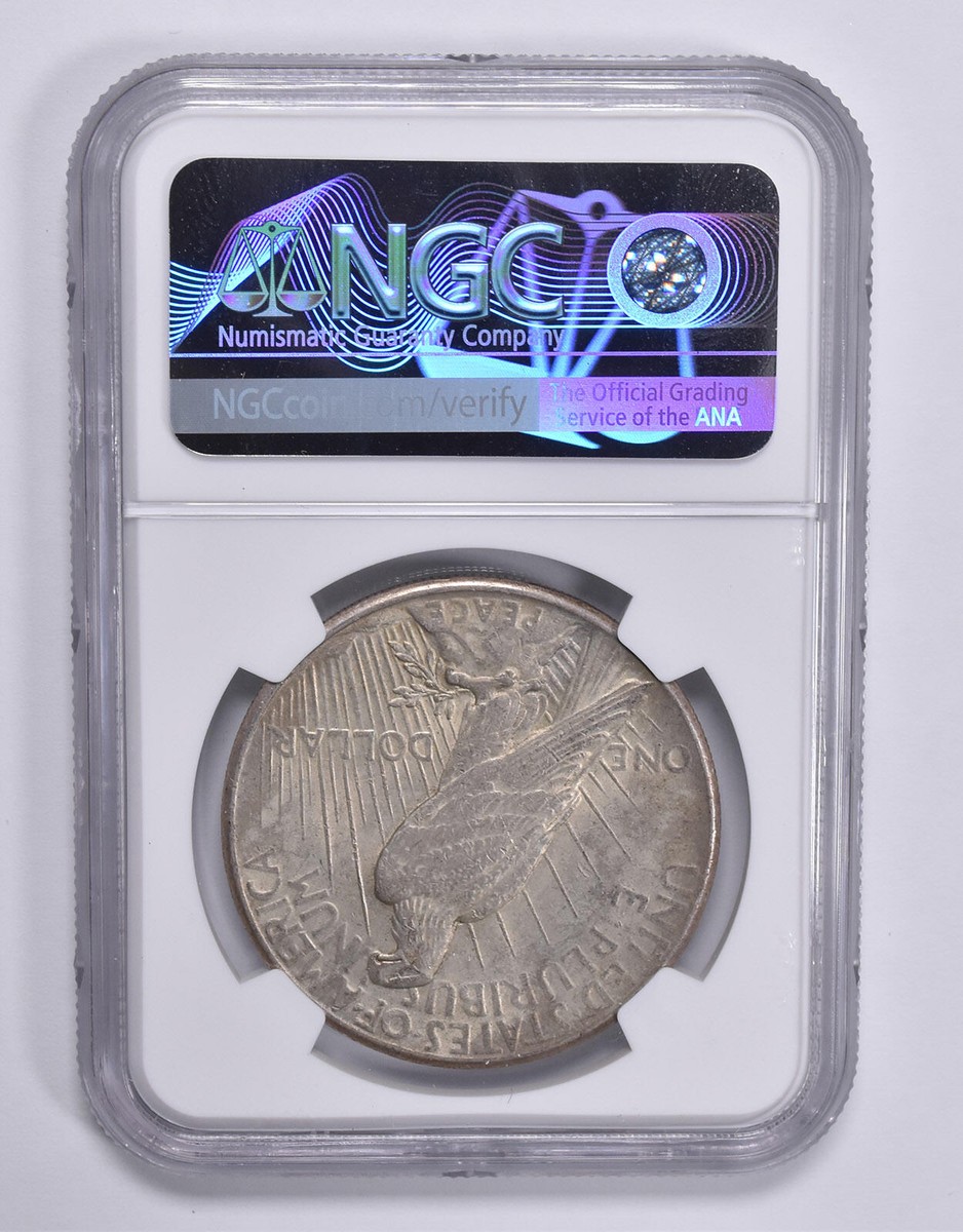 MINT ERROR AU53 1925 Peace Silver Dollar OBV Lamination NGC *1805