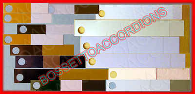 Accordion Reed Valves Plastic Synthetic Vileda Ventile Akkordeons