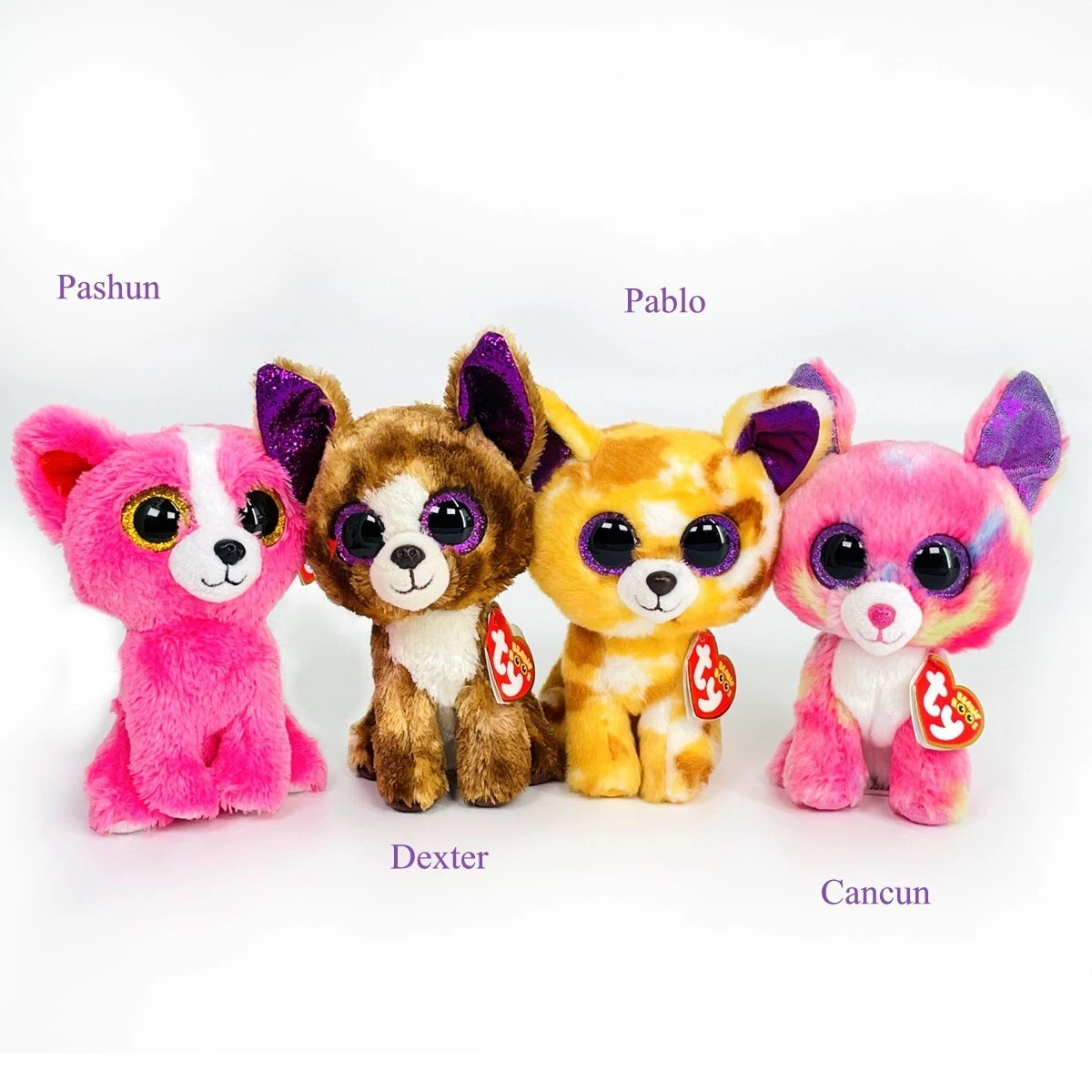 Beanie boo clearance chihuahua