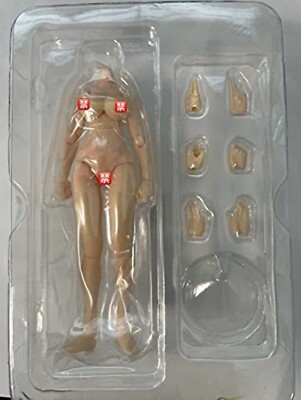 ACFUN(HonStudio) 1/12 Action Figure Body Model Y-01 LargeChest figma Compatible