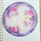 Picture 4 of 12