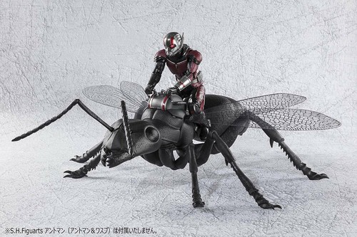 BANDAI SPIRITS S.H.Figuarts Ant-Man & Wasp Ant (Ant-Man & Wasp) About 250 m - Picture 9 of 9