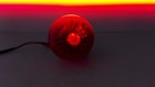 Bild 11 von 12