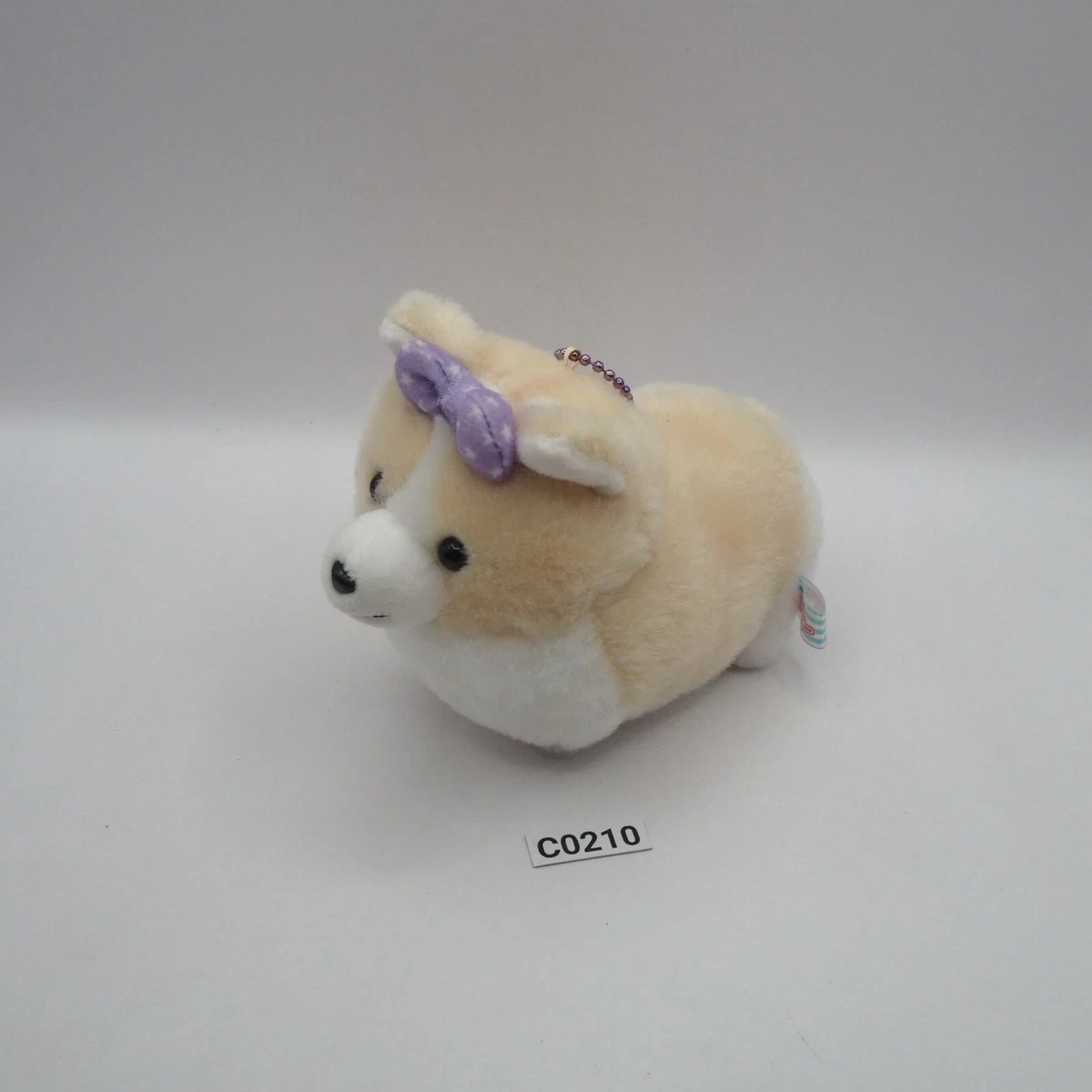 Ichinino Corgi Dog C0210 Amuse Plush 5