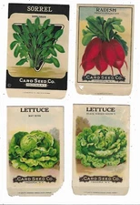 Four Old Litho Unused Seed Packets Card Seed Fredonia NY Lettuce Radish Sorrel