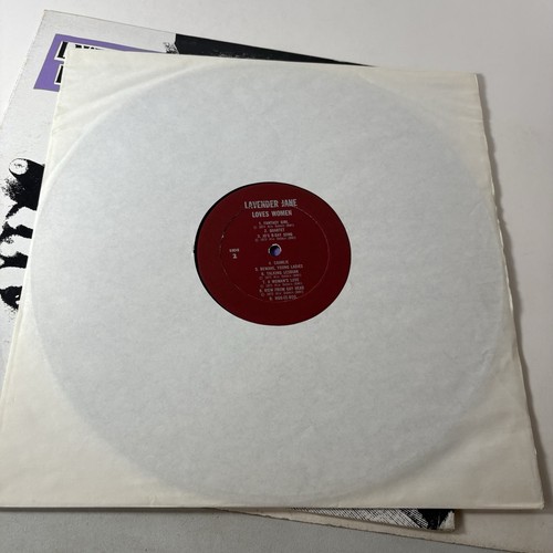 Lavender Jane Loves Women 1975 LP Vintage Feminism Lesbian Vinyl Record Reissue - Picture 7 of 10