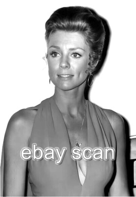 INGER STEVENS BEAUTIFUL PORTRAIT 8X10 PHOTO ig66 | eBay