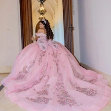 Pink Ball Gown Quinceanera Dres Glitter Sequins Lace Applique Beading Sweet 16