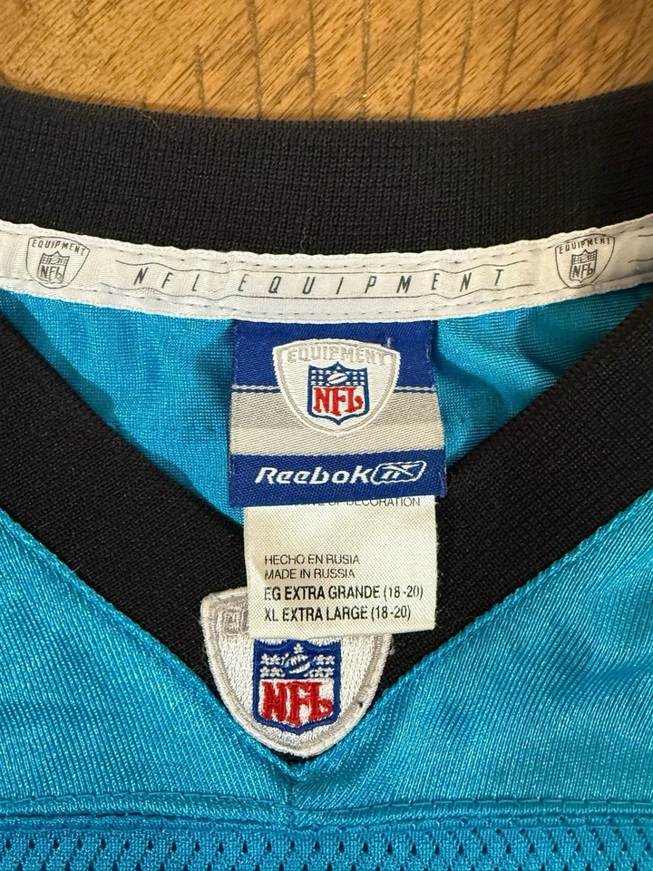 Camiseta Reebok Carolina Panthers #17 Jake Delhomme NFL azul JUVENTUD XL 18-20 Foto 4 de 4