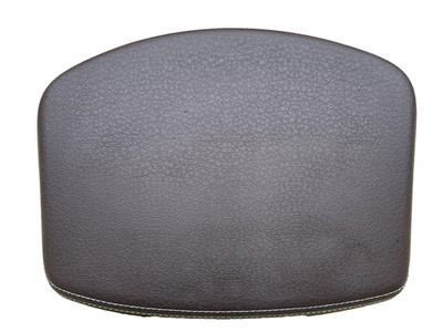 09-12 FORD PICKUP F150 Speedometer Instrument Cluster Cover Panel Brown