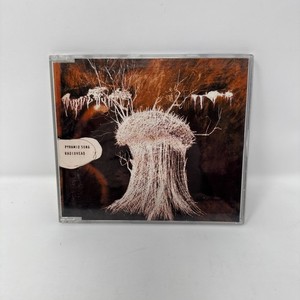 Radiohead-Pyramid Song | eBay