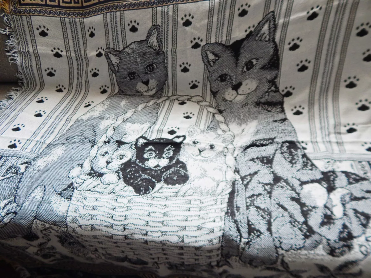 Cat print throw new arrivals