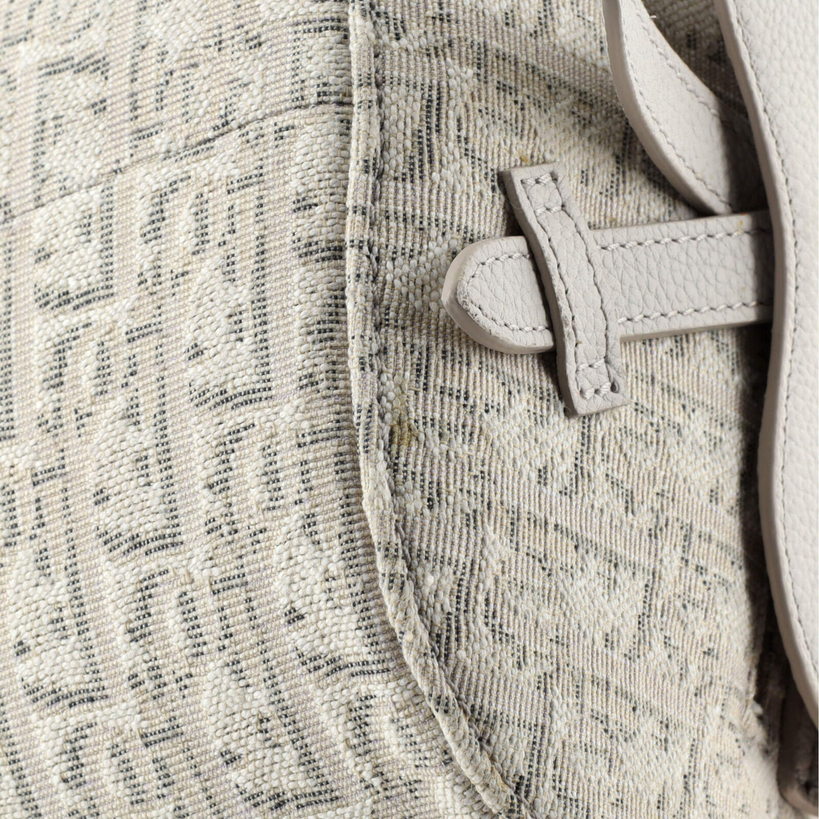 Christian Dior Saddle Backpack Oblique Canvas Min… - image 6