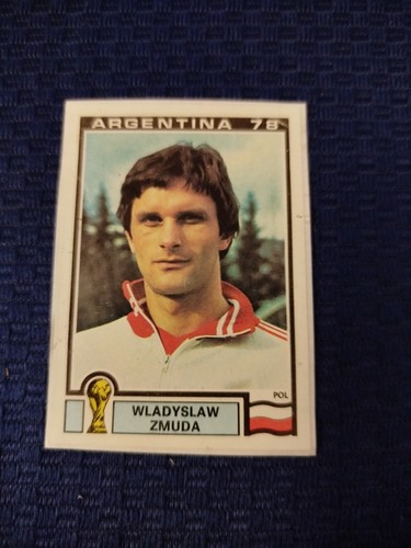 *** ARGENTINA 78 1-204 CALCIATORI PANINI SCEGLI sticker removed from the album - 第 123/207 張圖片