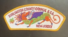 Burlington County Council CSP JSP Jamboree 1977 Jersey Devil