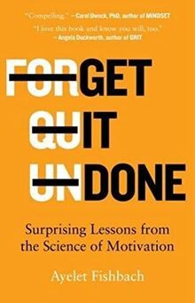 Get It Done: Surprising Lessons from the Science of ... | Buch | Zustand wie neu