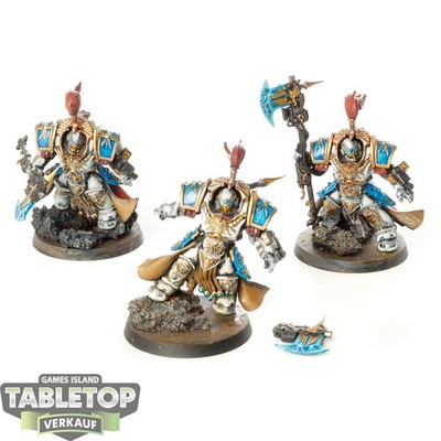 Adeptus Custodes - 3 x Allarus Custodians - bemalt