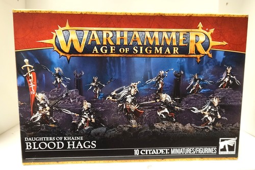 Warhammer Age of Sigmar Blood Hags Single Miniature Model