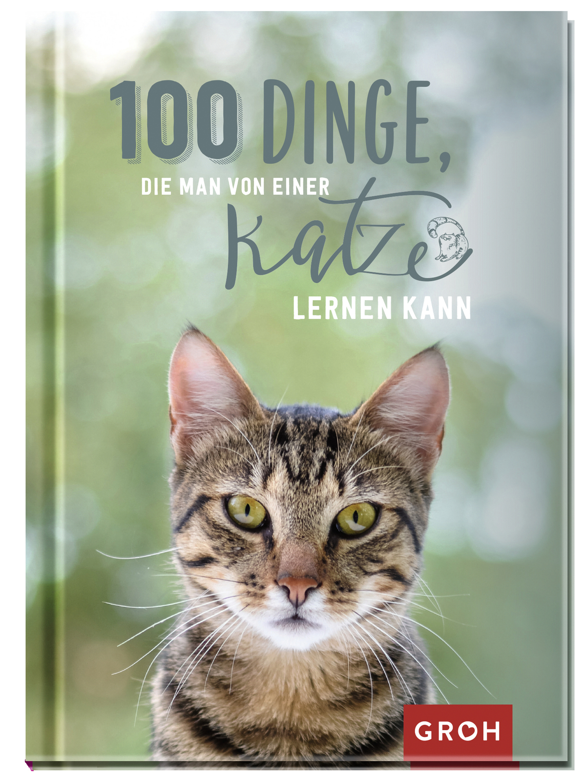 Thumbnail - Groh Redaktionsteam / 100 Dinge, Die Man Von Einer Katze Lernen Kann