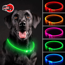 RECHARGEABLE LED Light-up Flash GLOW COLLAR Dog Pet Safety MICRO USB adjustable