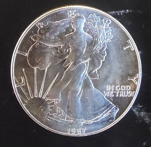 1987 American Eagle Toned Walking Liberty Bullion Vtg-0.999 Silver 1 Oz Coin 1v