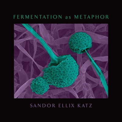 #ad Fermentation as Metaphor: From the Author of the Bestselling The Art of Ferm... $8.01